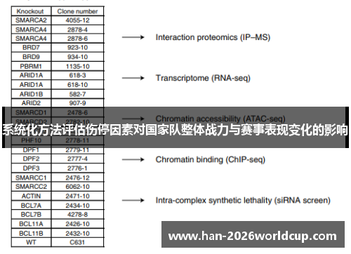 系统化方法评估伤停因素对国家队整体战力与赛事表现变化的影响 系统化方法评估伤停因素对国家队整体战力与赛事表现变化的影响
